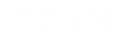 Vinturi